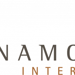 Logo Cinnamon Interactive uit Leeuwarden